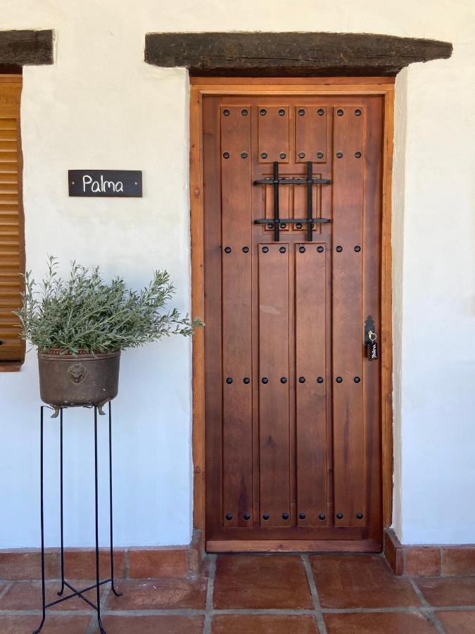 The Wild Olive Andalucia Palma Guestroom Casares
