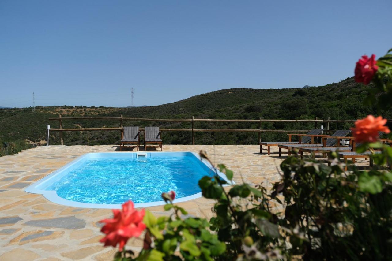 Farm stay The Wild Olive Andalucia Palma Guestroom Casares