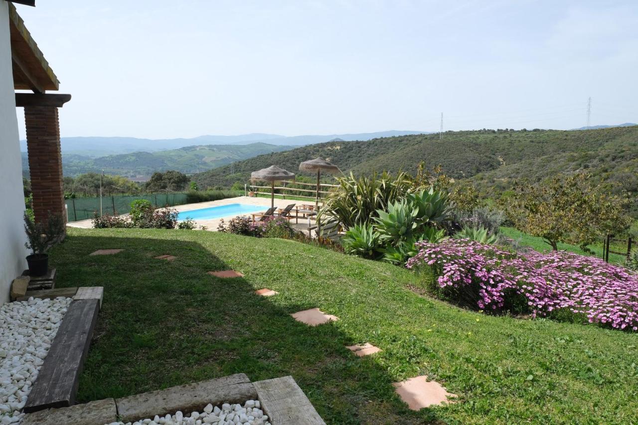 The Wild Olive Andalucia Palma Guestroom