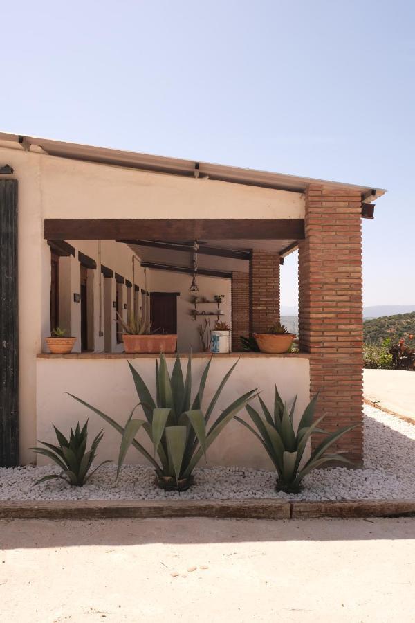 The Wild Olive Andalucia Palma Guestroom