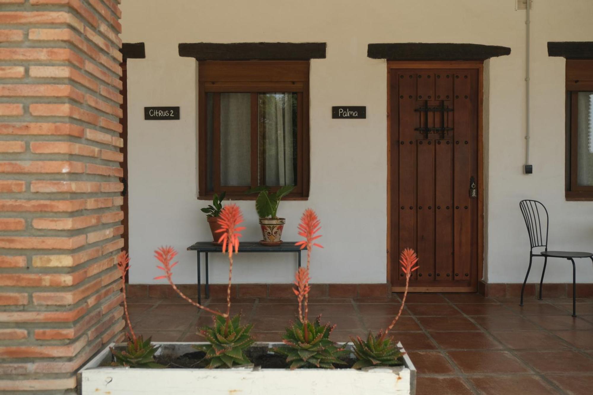 The Wild Olive Andalucia Palma Guestroom