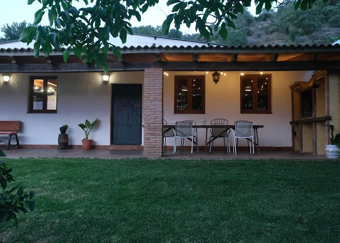 The Wild Olive Andalucía Palma Guestroom